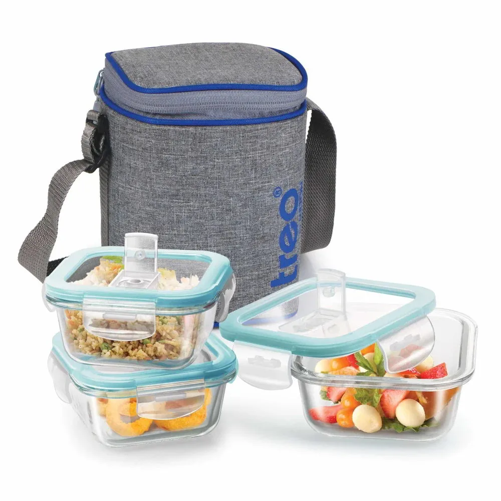 All Fresh Borosilicate Glass Tiffin (Treo by Milton)