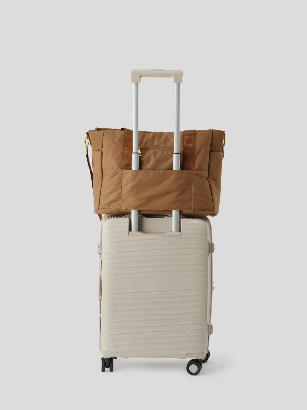 Biscuit - Odyssey Insulated Tote Bag