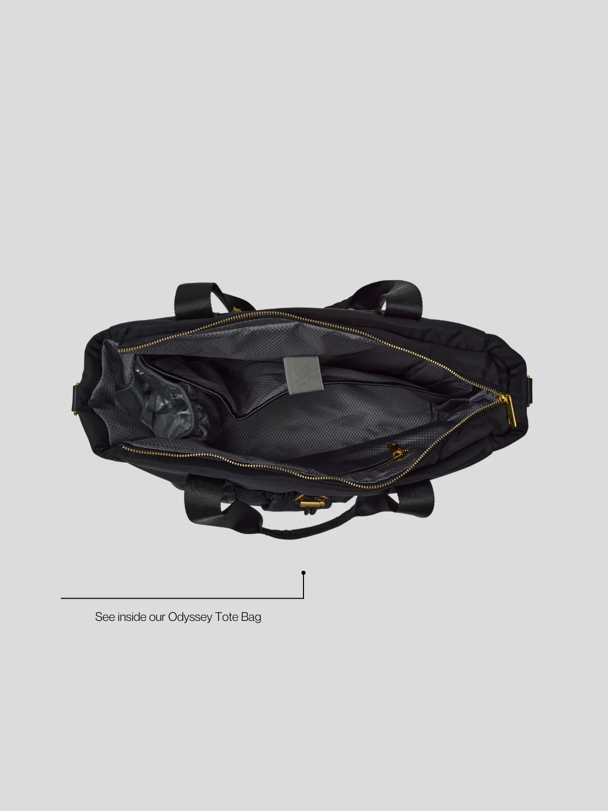 Biscuit - Odyssey Insulated Tote Bag