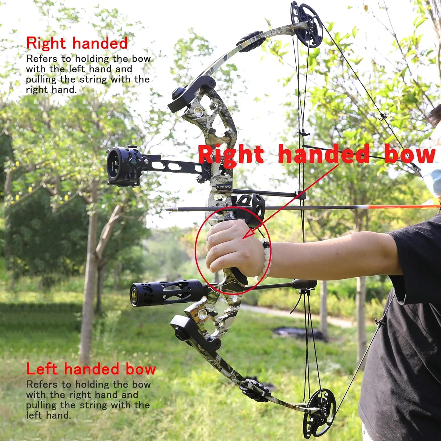 Bowfishing Compound Bow Kit Ready to Fish Kit with Bowfishing Reel, Bow Fishing Arrows Right & Left Hand for Adult/Youth Fishing Hunting, Target Shooting