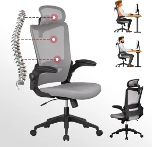 C6 Grey Ergonomic Office Desk Chair with Lumbar Support 2D Headrest Flip Up 4D Armrest 120° Rocking Mesh Computer Chair Office Chairs for Office Home Conference Room Usage