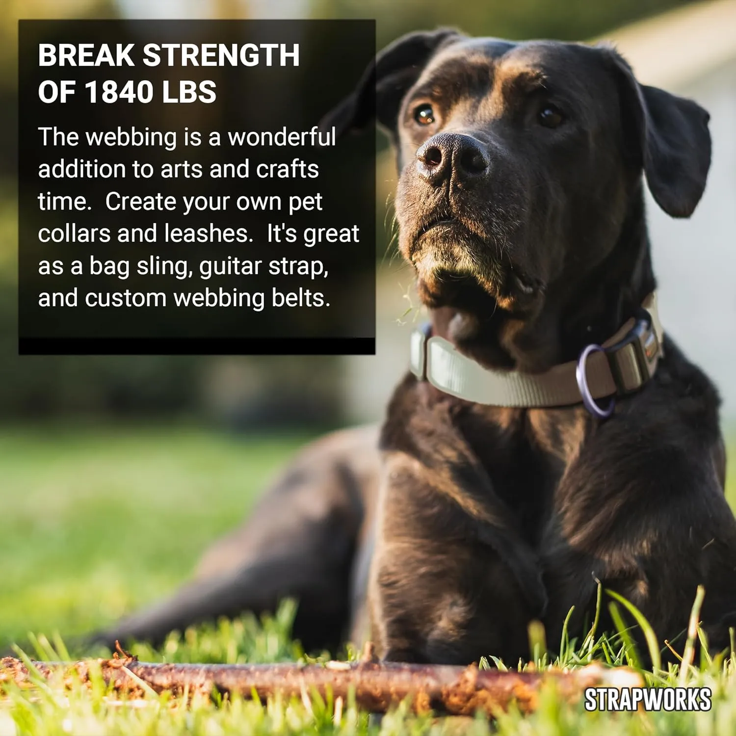 Colored Picture Quality Polyester Webbing, Strap For Outdoor Activities, Crafts, Dog Leashes, 1 Inch x 10 Yards, 13 Colors