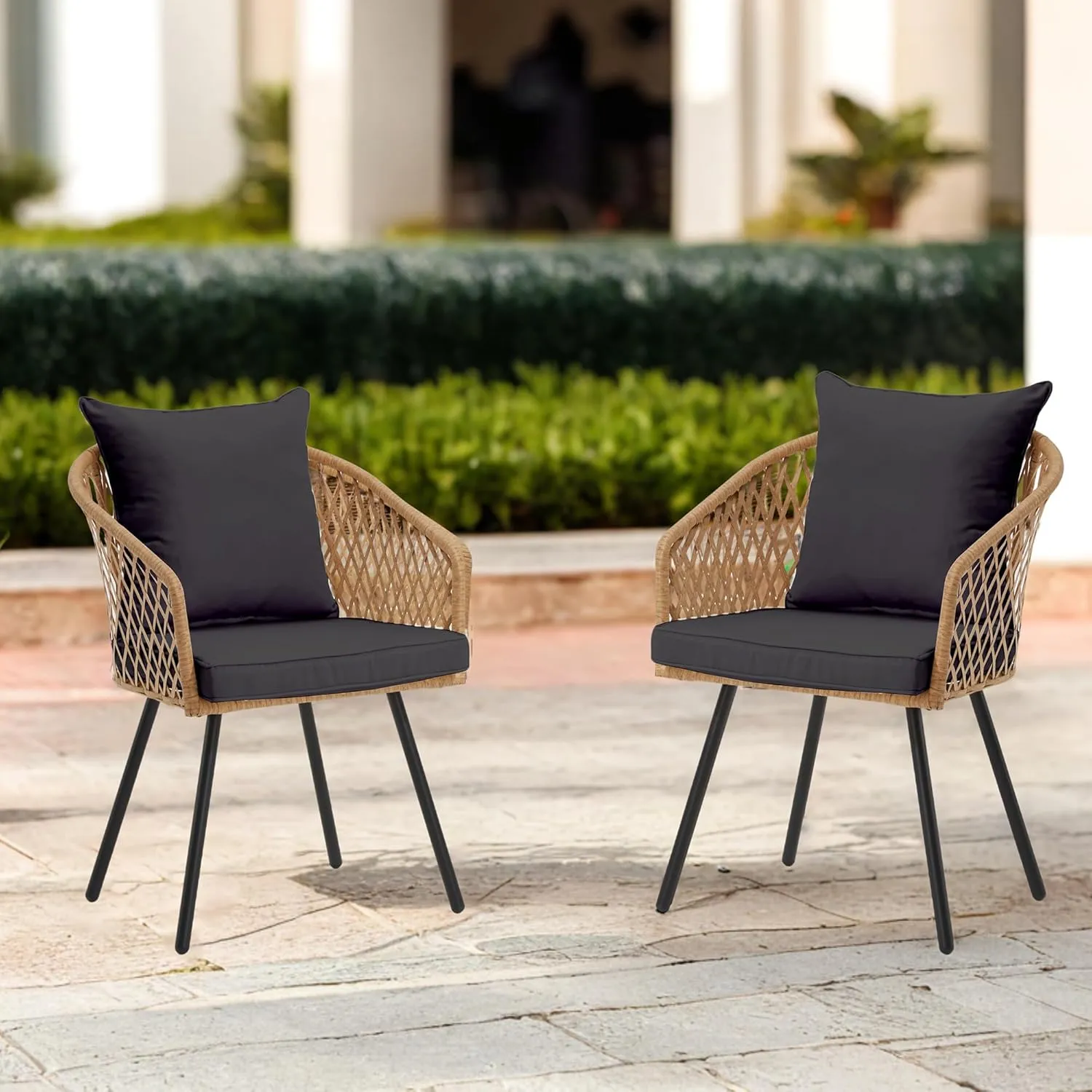 ECOTOUGE All-Weather Patio Dining Chairs, w/Cushions & Armrests, Modern Outdoor Seating for Garden, Poolside, Balcony, Indoor Use (Set of 2, Beige&Black)