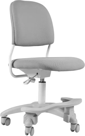Ergonomic Kids Desk Chair, Child's Children Student Study Office Computer Chair, Adjustable Height and Seat Depth, Detachable Footrest and Lumbar Support (Grey, W/Chair Slipcovers)