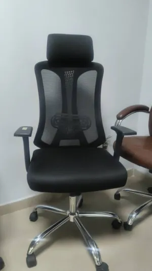Executive Mesh office chair Chair