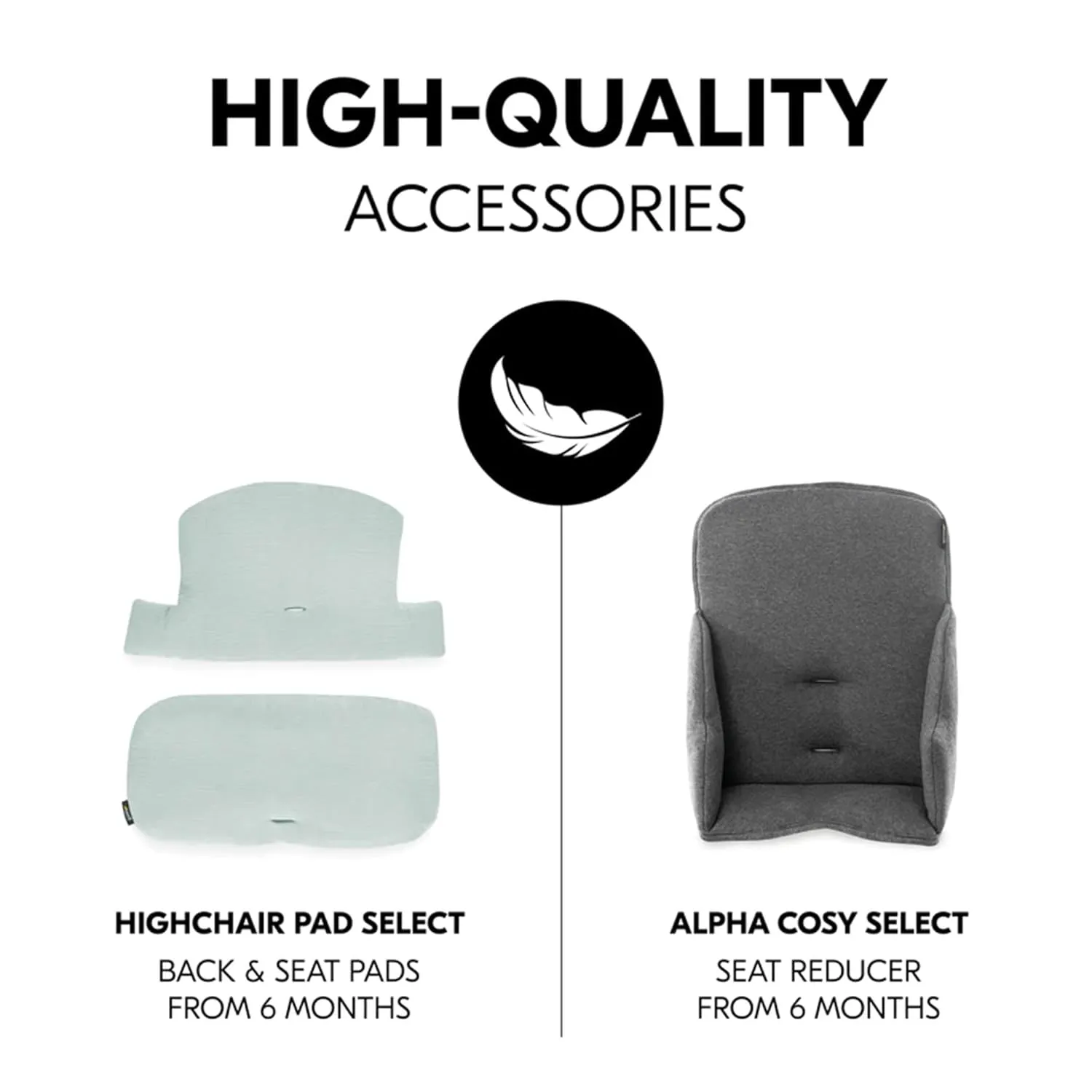 hauck Alpha  High Chair for Children from 6 Months up to 90 kg, Includes Protective Bar, 5-Point Harness and Crotch Strap, FSC® Certified Beech Wood (Black)