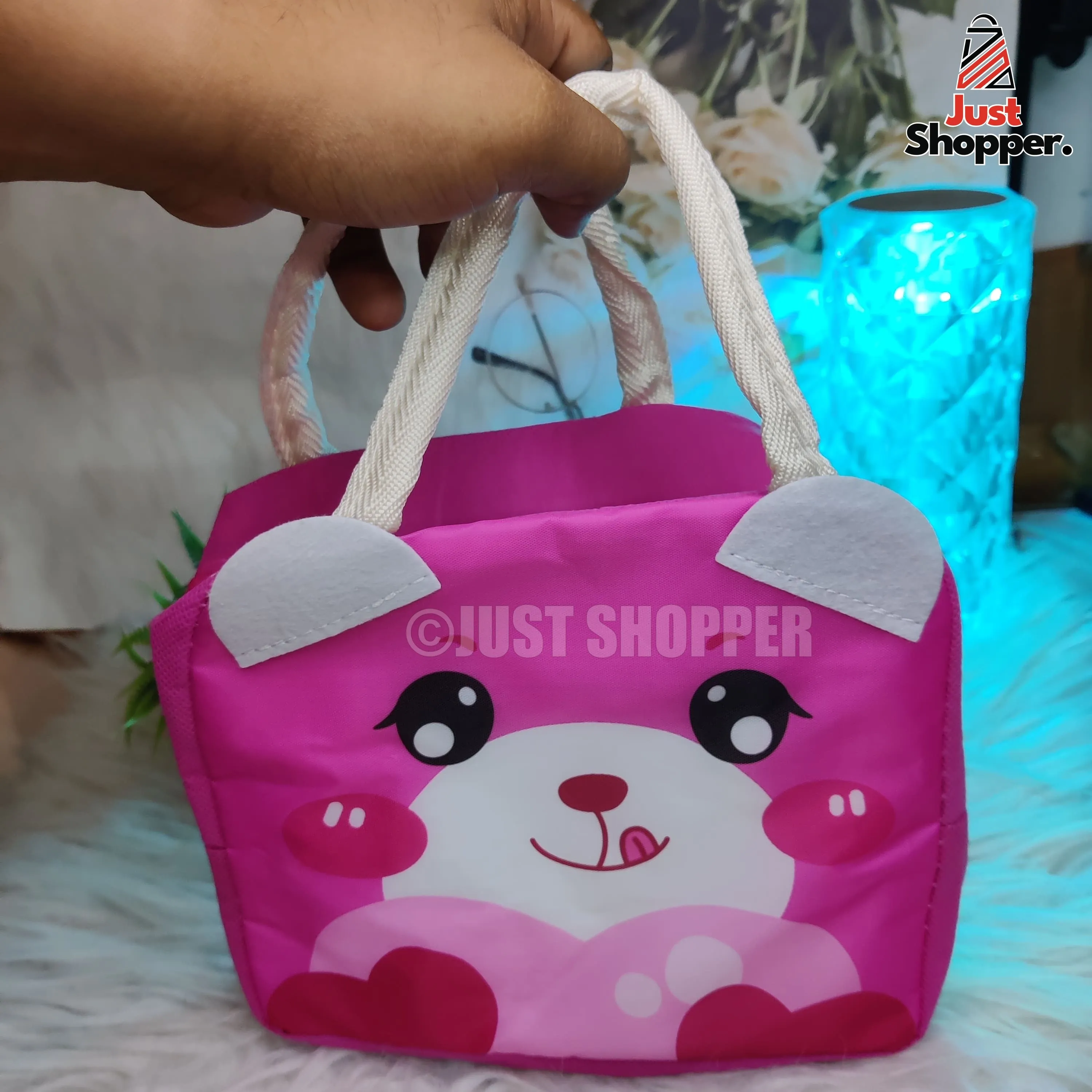 Insulated Lunch Bag- Model 3