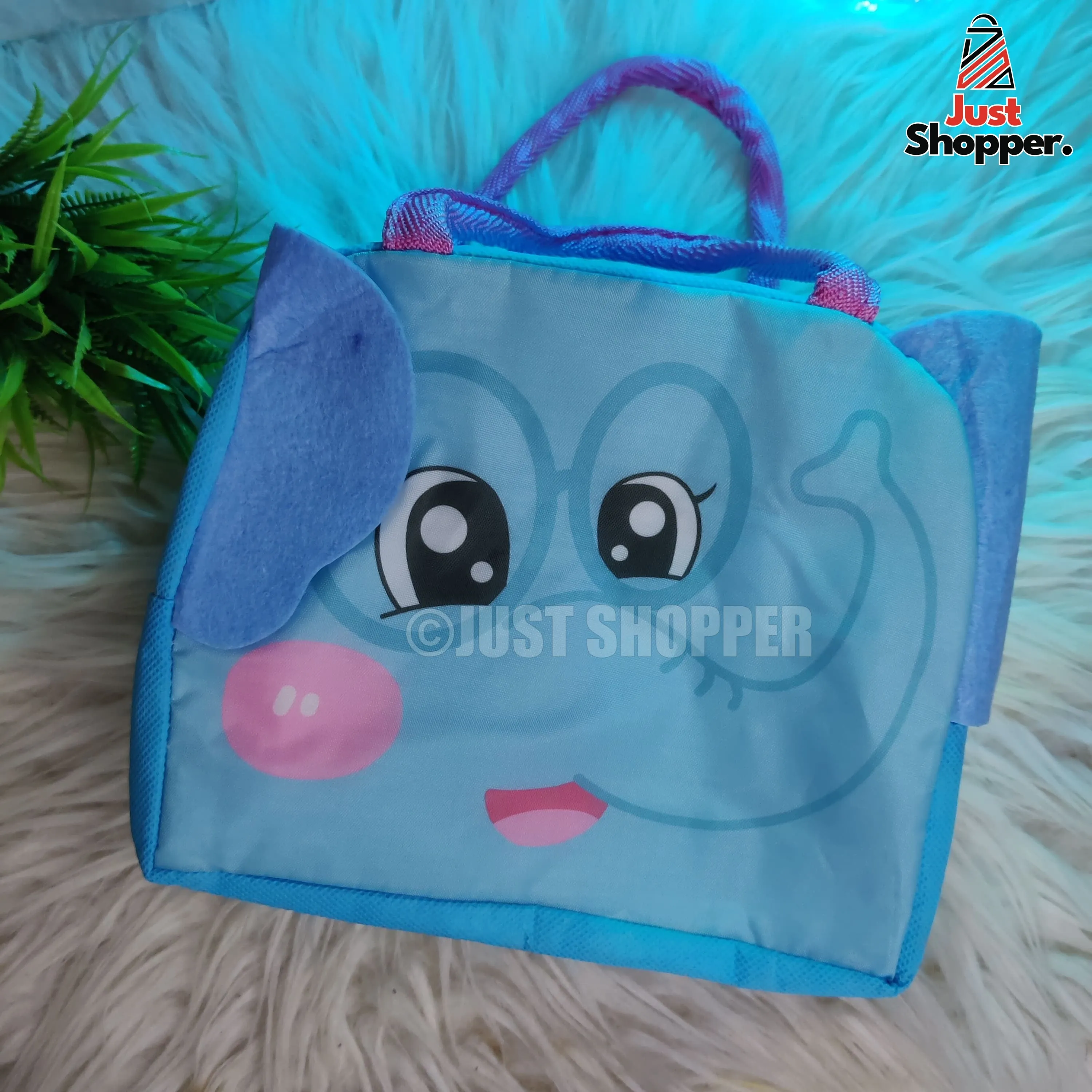 Insulated Lunch Bag- Model 5