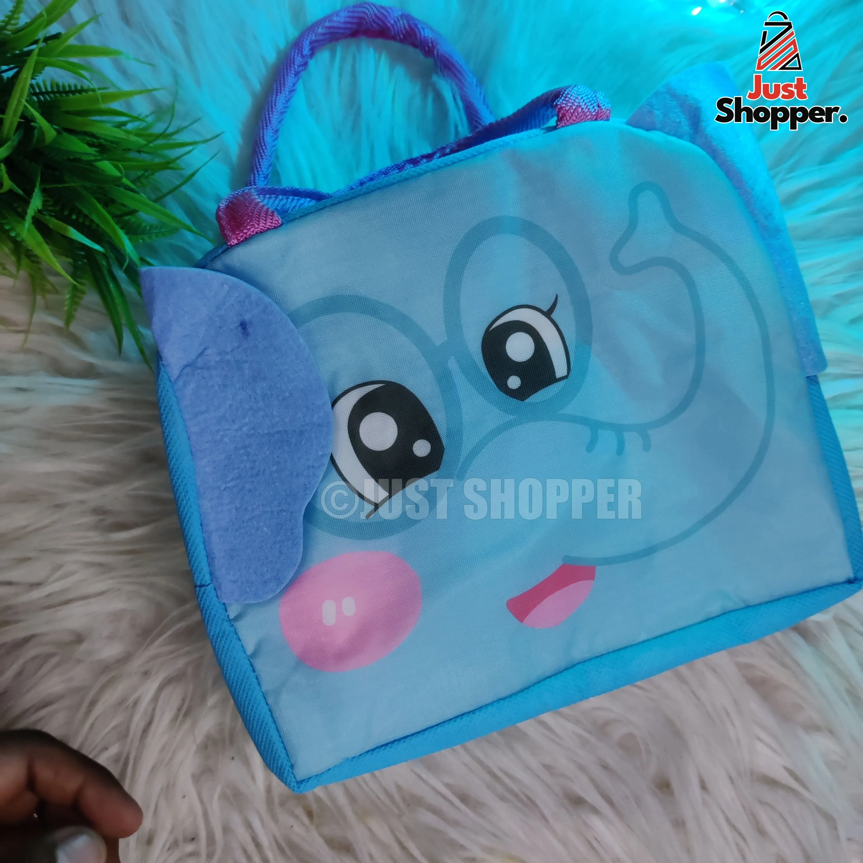 Insulated Lunch Bag- Model 5