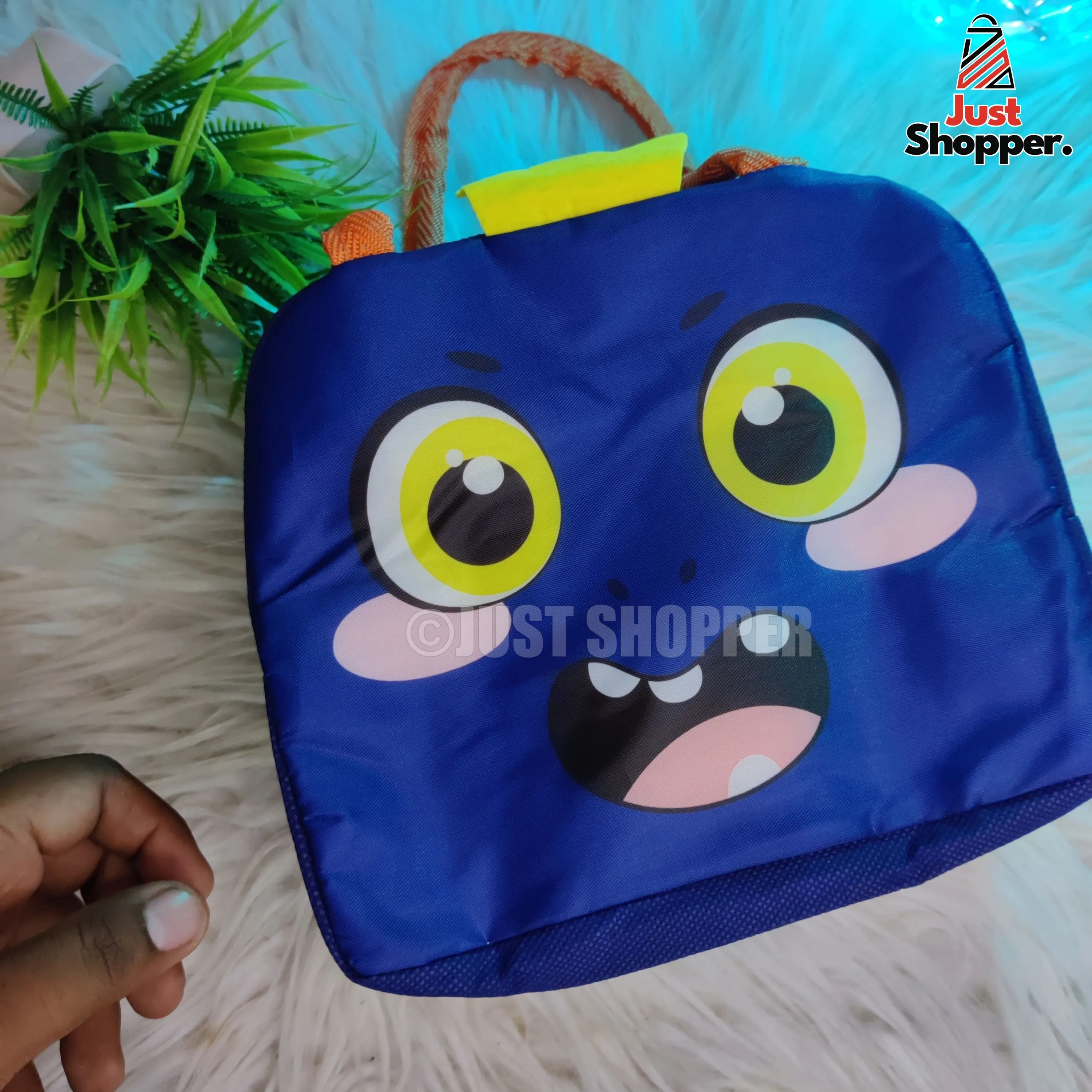 Insulated Lunch Bag- Model 6