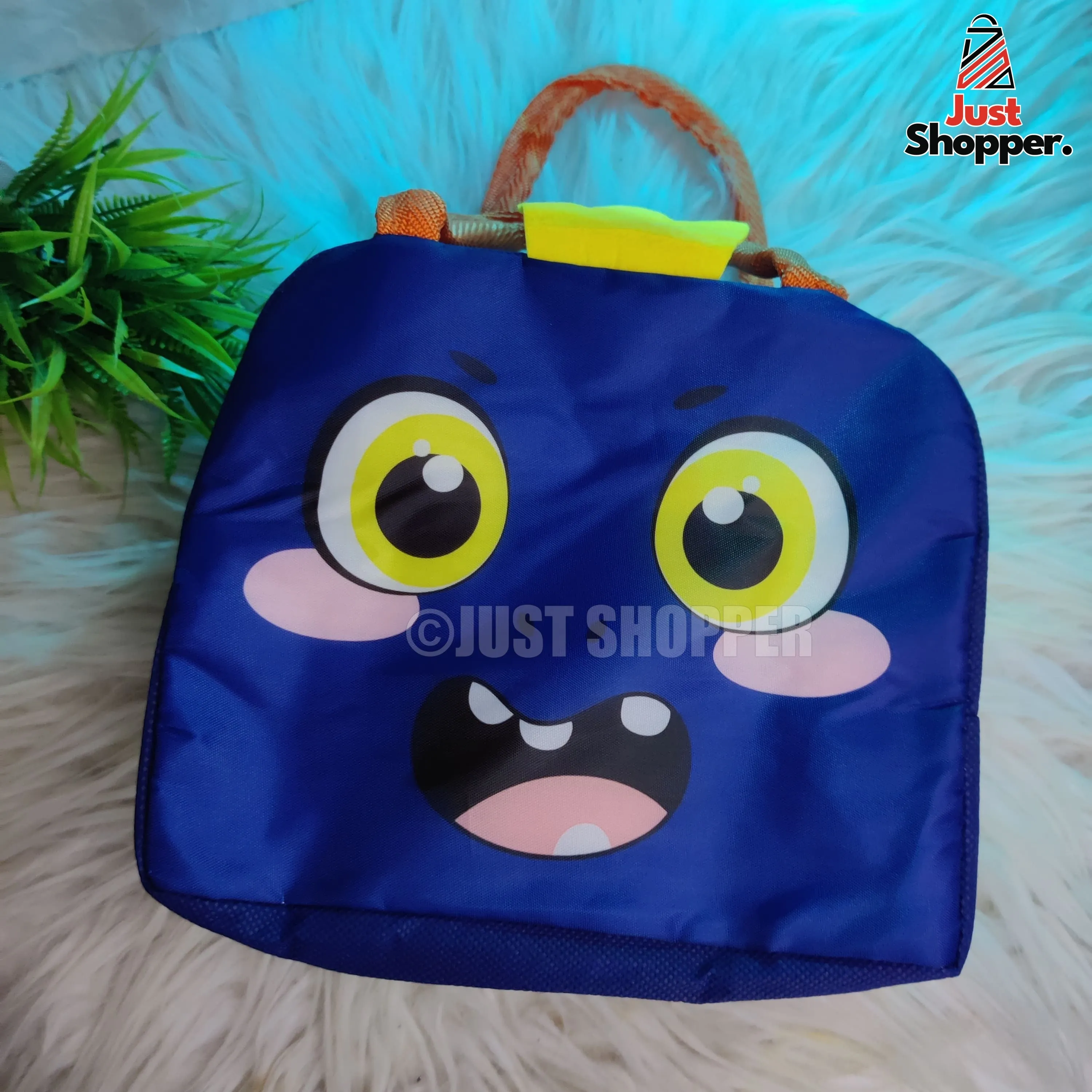 Insulated Lunch Bag- Model 6