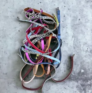 Kaia adjustable crossbody strap