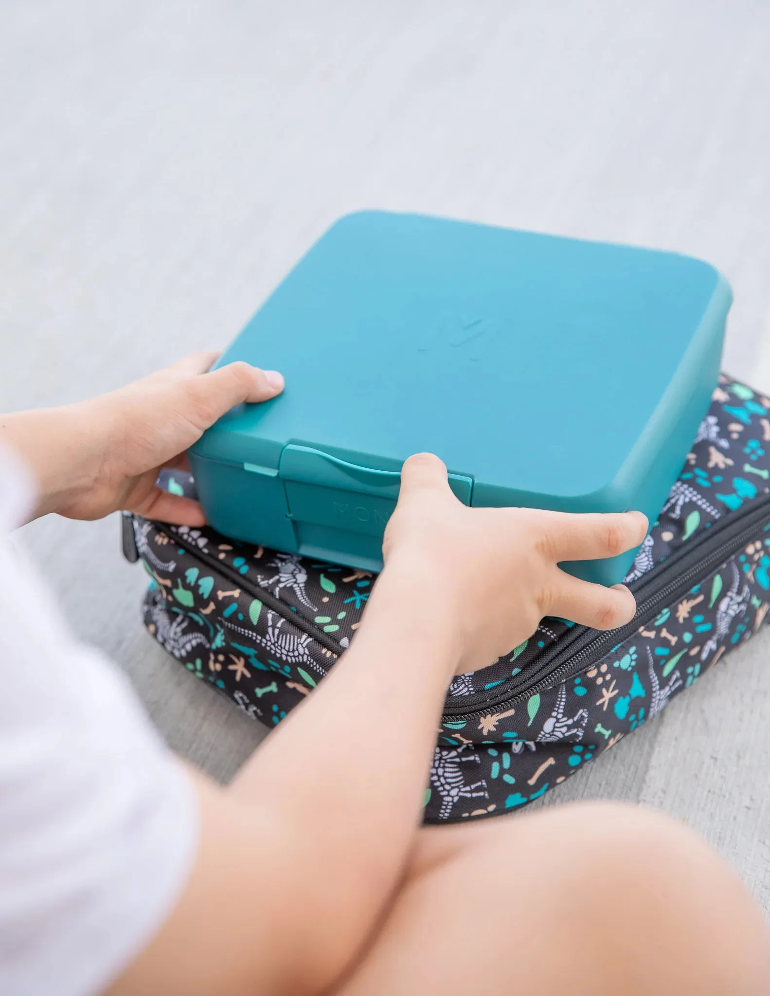 Large Insulated Lunch Bag | Dinosaur