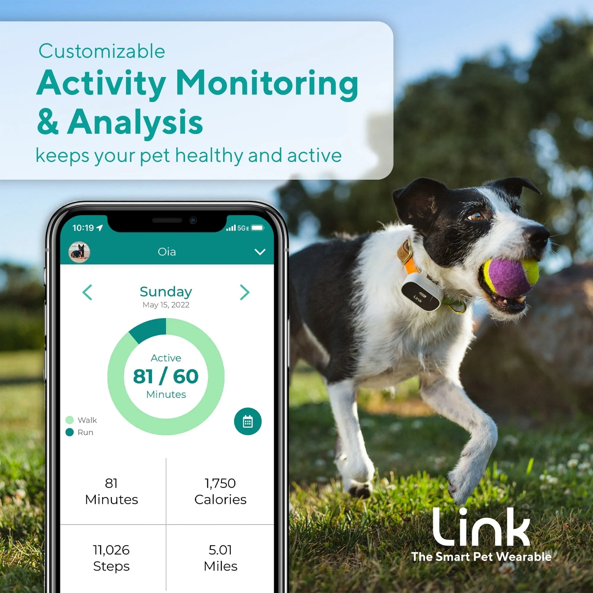 Link My Pet GPS Dog Tracker & Activity Monitor with Training Tools, Fits Any Collar