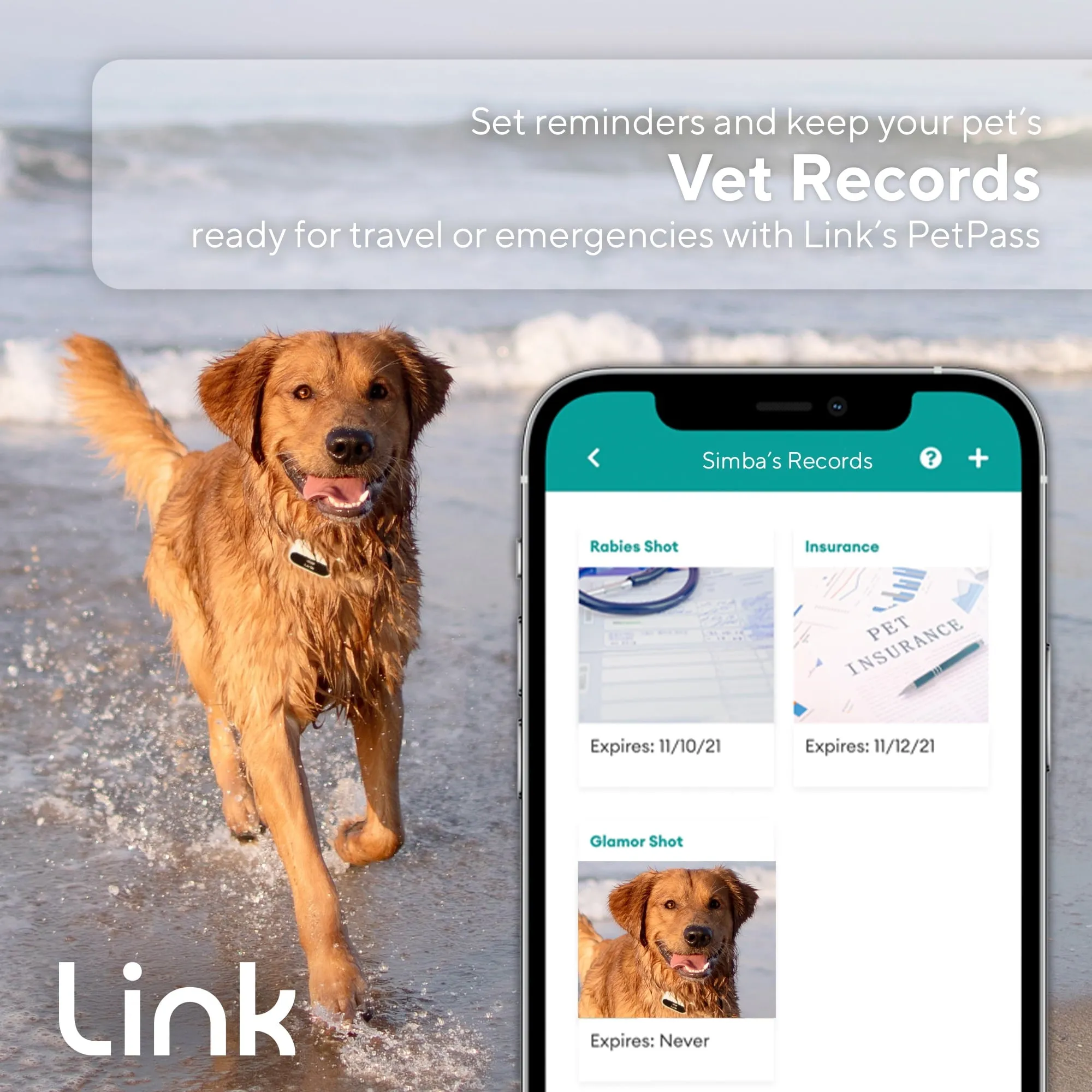 Link My Pet GPS Dog Tracker & Activity Monitor with Training Tools, Fits Any Collar