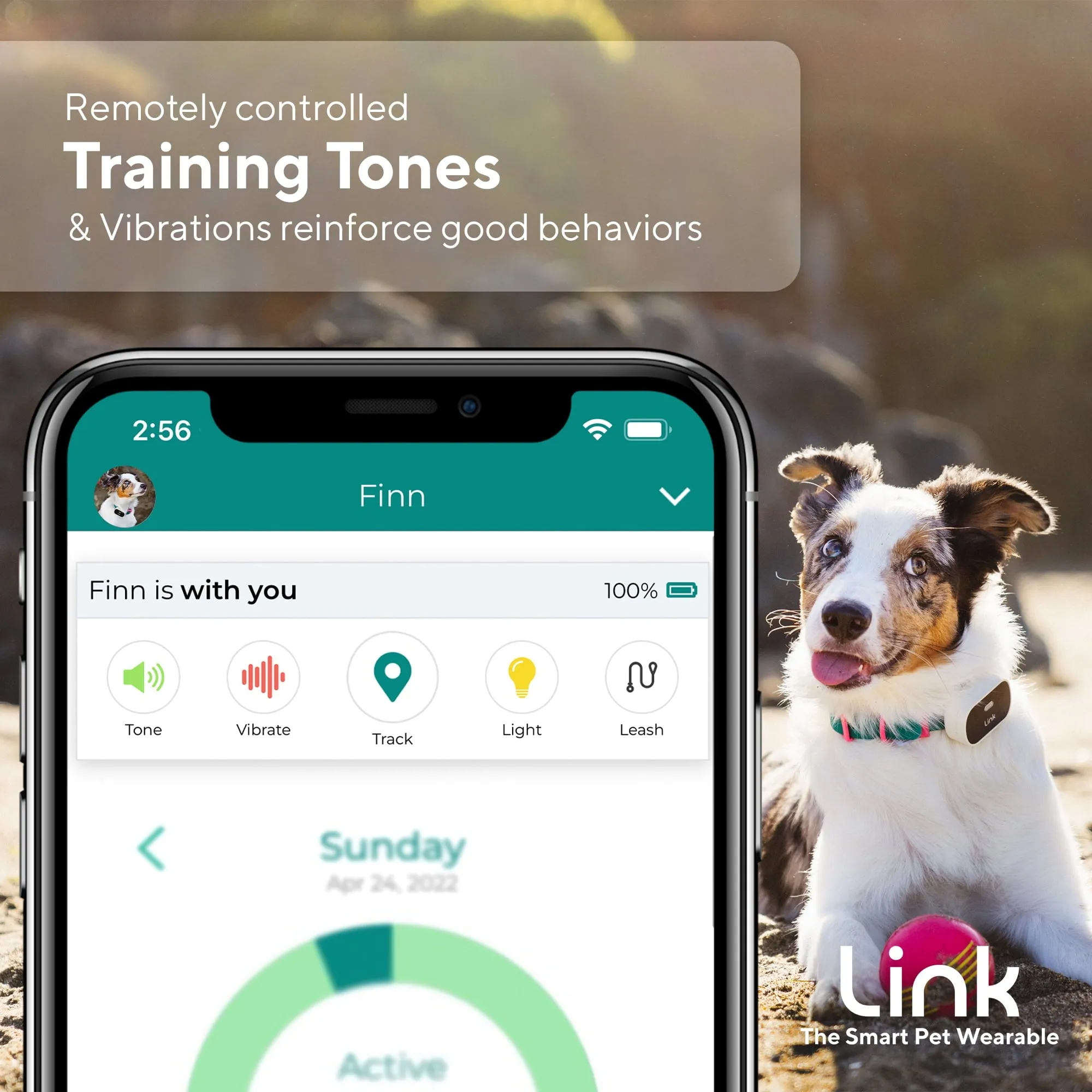 Link My Pet GPS Dog Tracker & Activity Monitor with Training Tools, Fits Any Collar