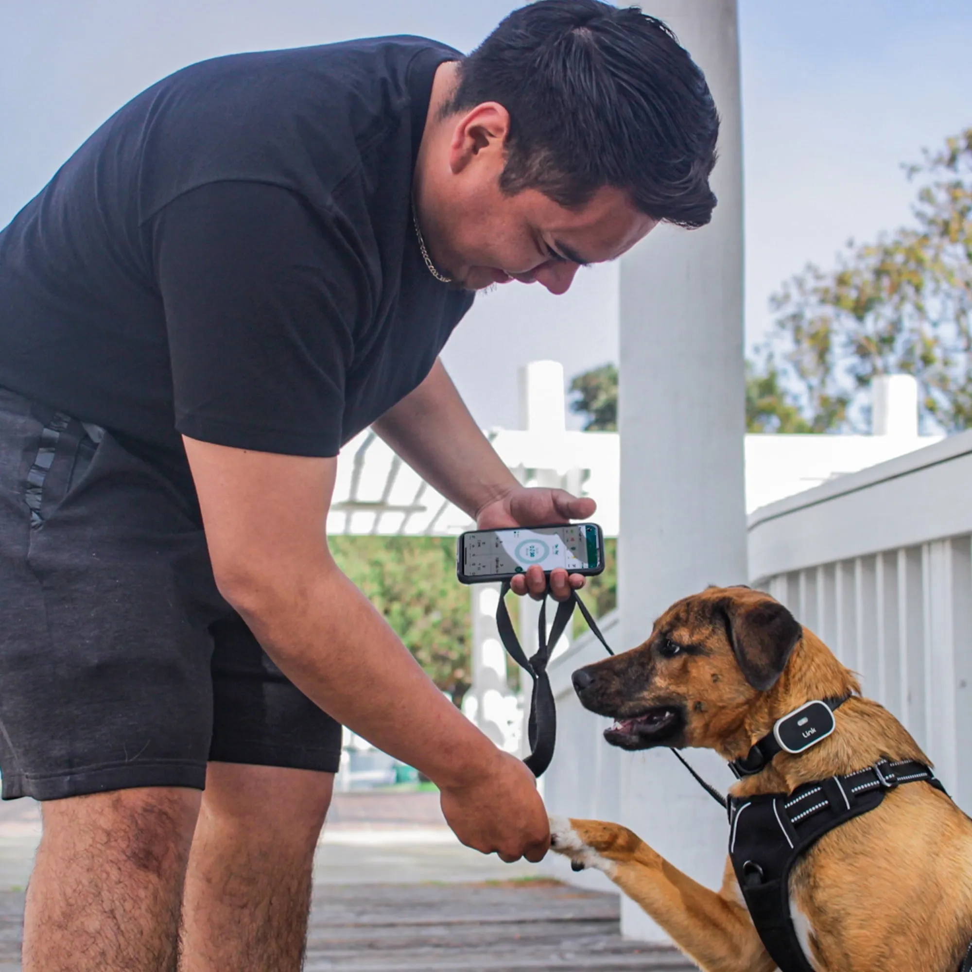 Link My Pet GPS Dog Tracker & Activity Monitor with Training Tools, Fits Any Collar