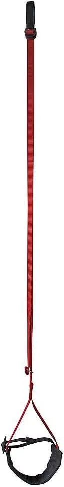 Metolius Easy Aider