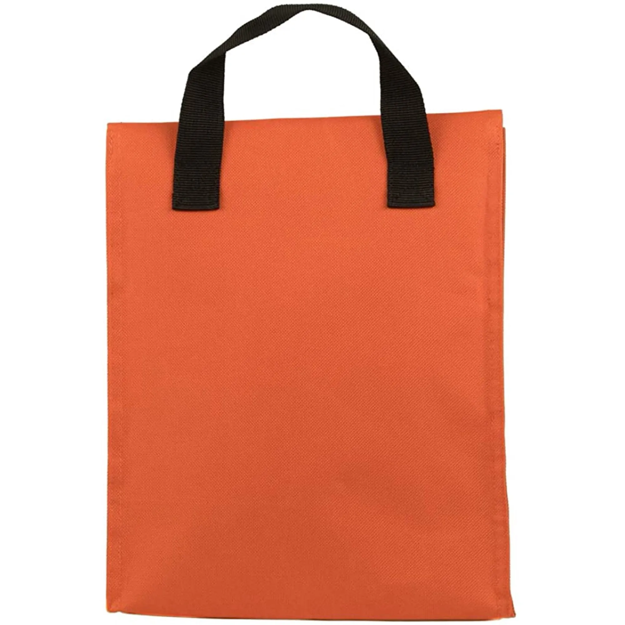 NASA FOLD TOP LUNCH TOTE
