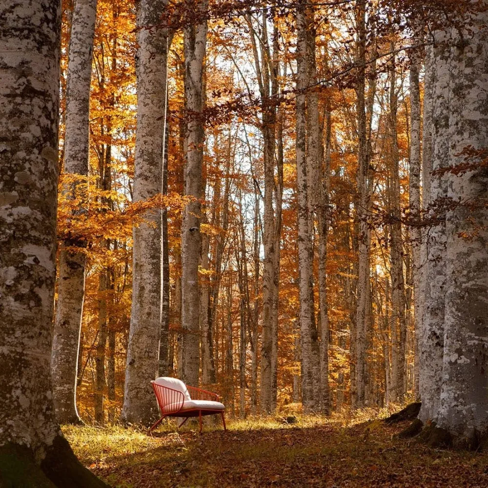 NOT OUT Stackable Outdoor Chair