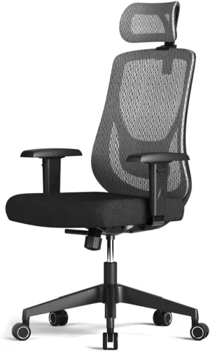Office Chair Mesh Ergonomic Chair Computer Chairs for Home with Adjustable Height Arms Reclining Chair Comfy Chair (Color : Blue)