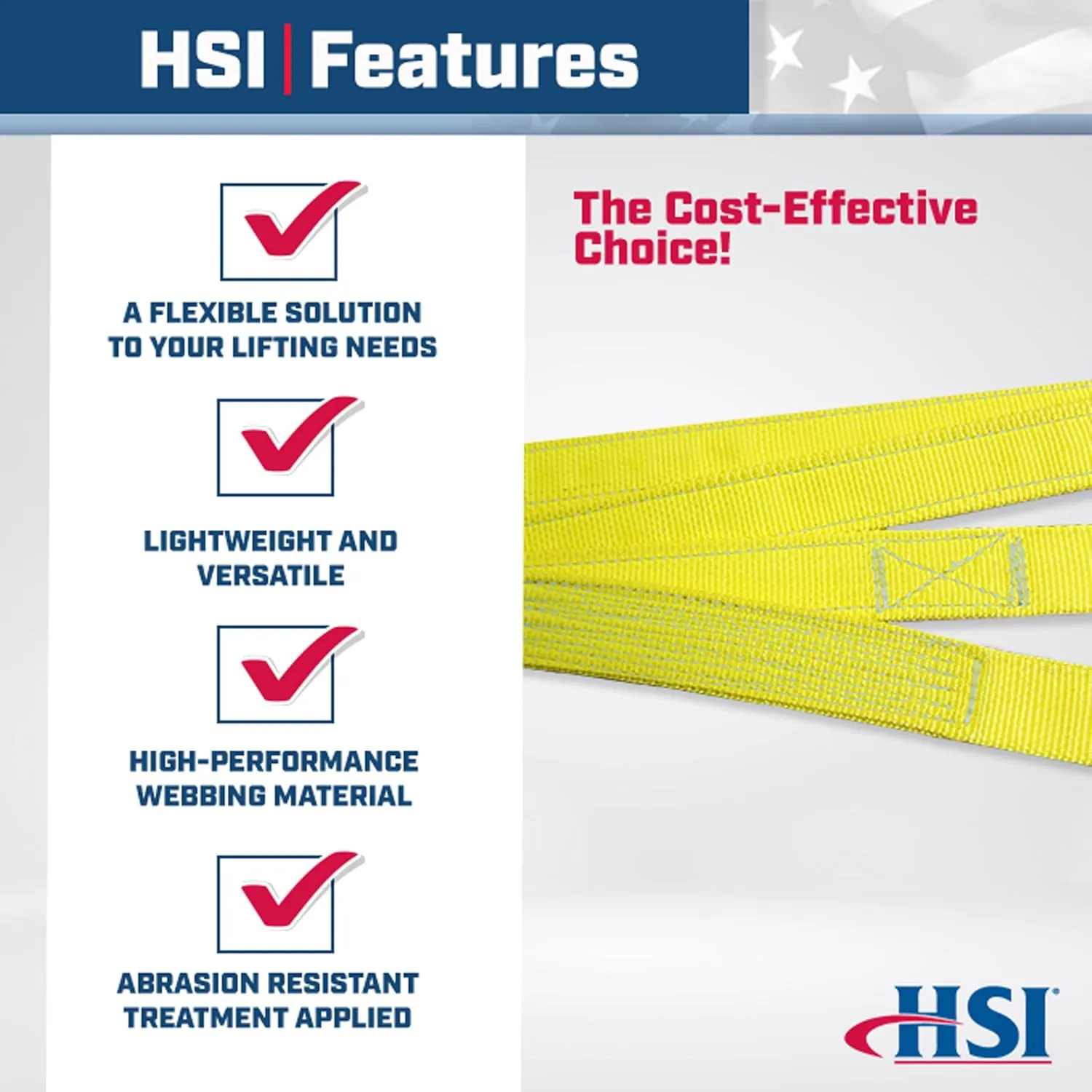 One Ply Two Leg 1" x 10' Oblong-to-Hook Nylon Bridle Sling | EE1-801 | 3/4" Trade Size Alloy Master Link | 3,200 Lb. Vertical Capacity | Hanes Supply (HSI) Heavy Duty Rigging Equipment