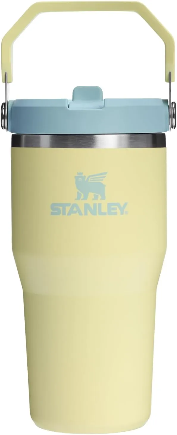Stanley IceFlow 2.0 Flip Straw Tumbler with Handle 20 oz | Twist On Lid and Flip Up Straw | Leak Resistant Water Bottle | Insulated Stainless Steel | BPA-Free | Pomelo