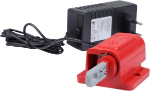 WOLF-Garten, E-Multi-Star Wall Charging Station QC 25 eM, Charging Station with Suspension Device, 72AMC3-1650